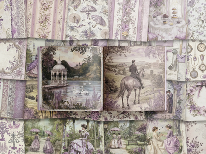 The Regency : Lilac Lace